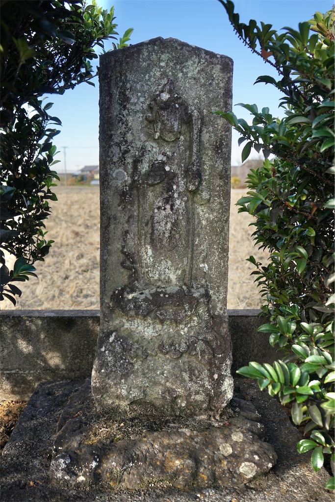 f:id:nagatorowo2:20240127234701j:image