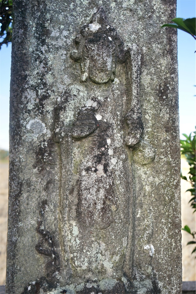 f:id:nagatorowo2:20240127234705j:image