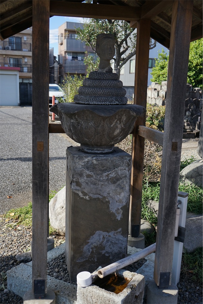 f:id:nagatorowo2:20240211150039j:image