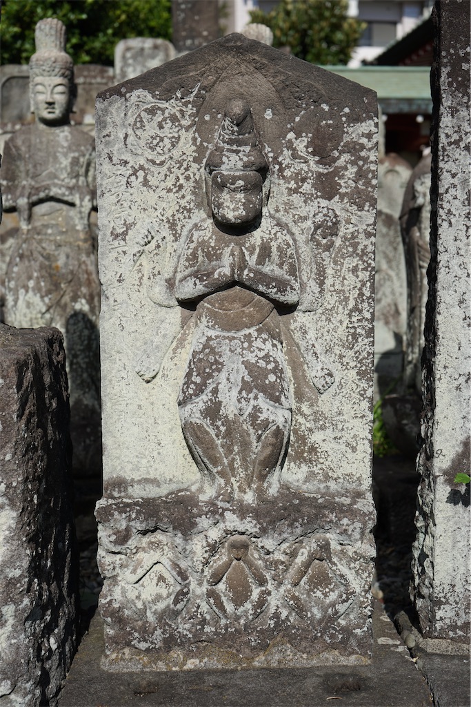 f:id:nagatorowo2:20240211150103j:image f:id:nagatorowo2:20240211150103j:image