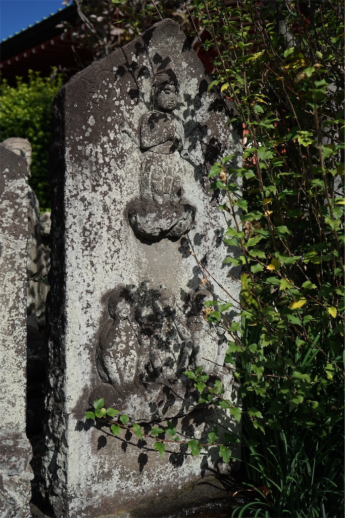 f:id:nagatorowo2:20240211150109j:image