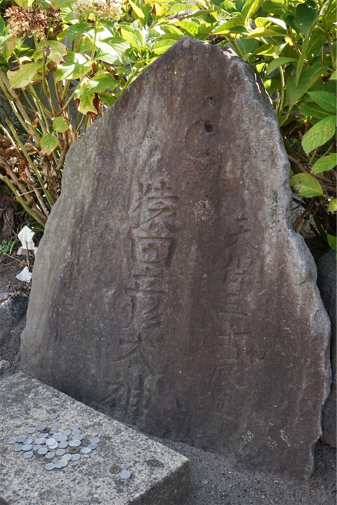 f:id:nagatorowo2:20240220183239j:image