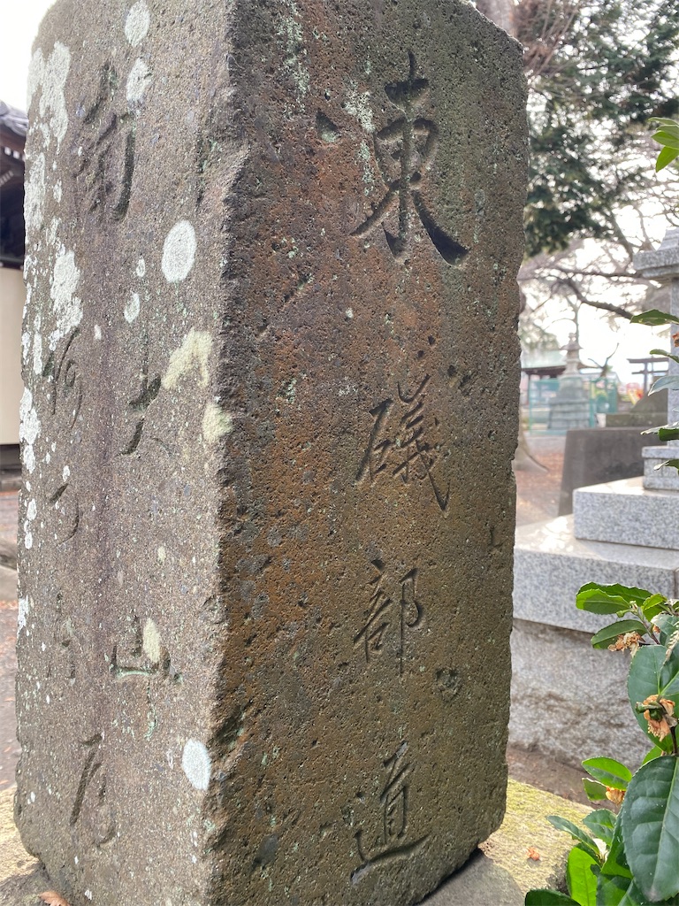 f:id:nagatorowo2:20240301124747j:image f:id:nagatorowo2:20240301124747j:image