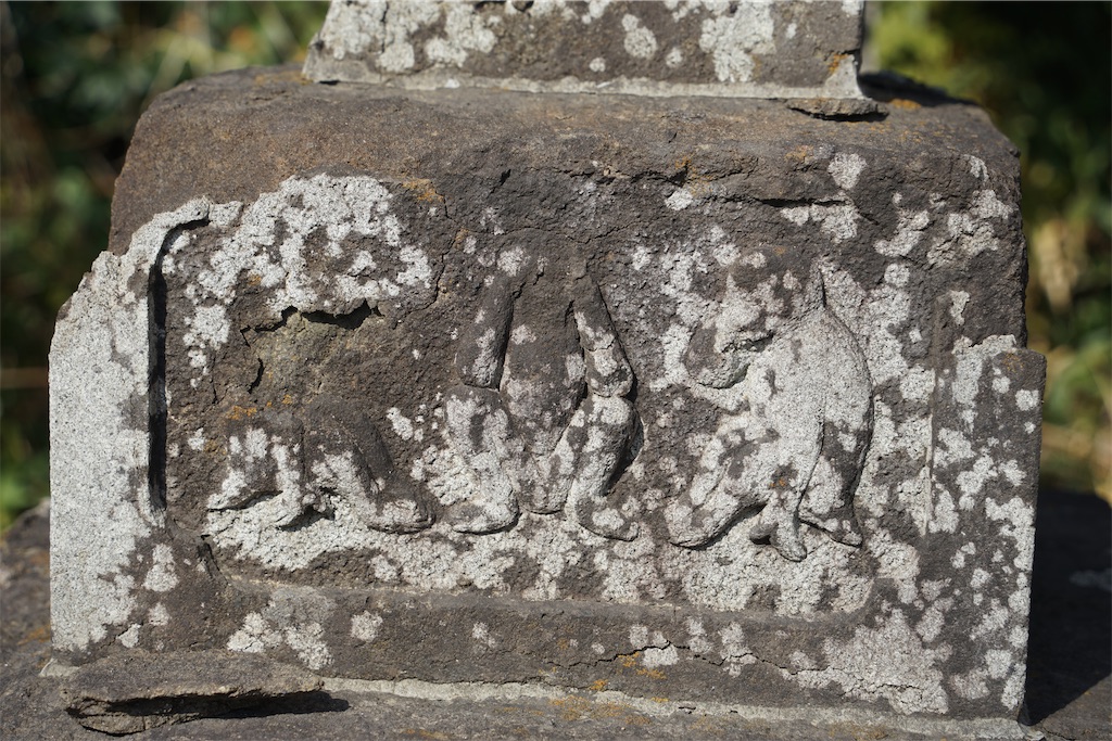 f:id:nagatorowo2:20240307104737j:image