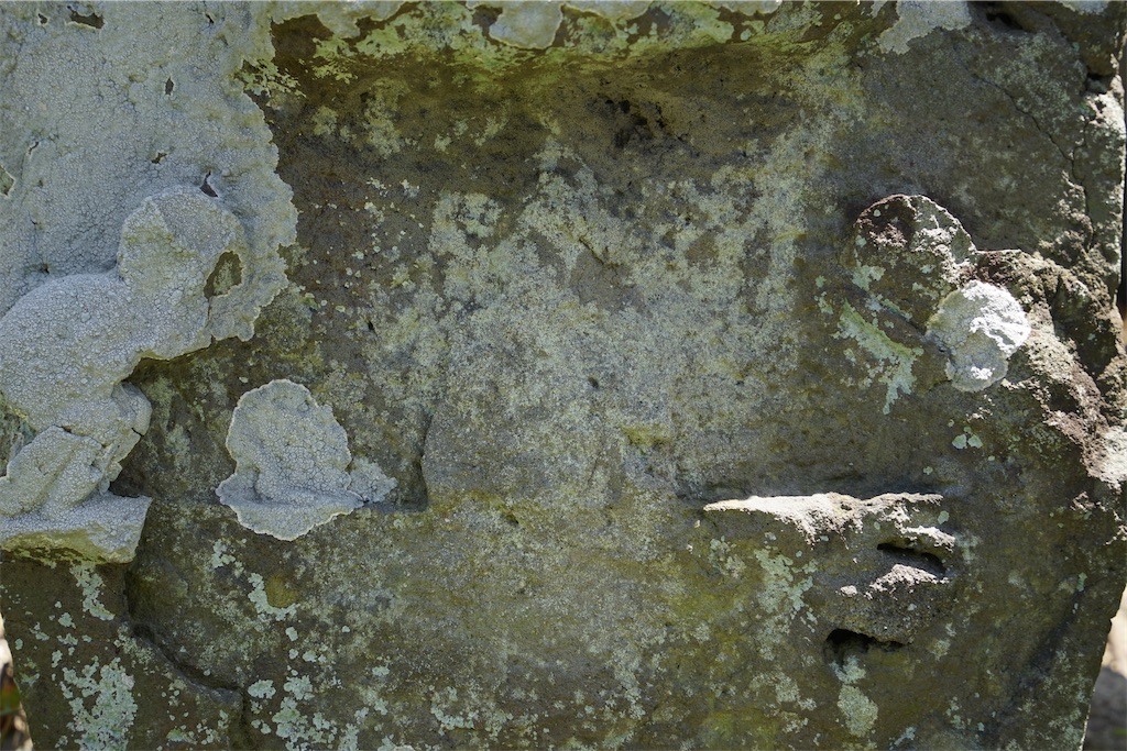 f:id:nagatorowo2:20240520095148j:image