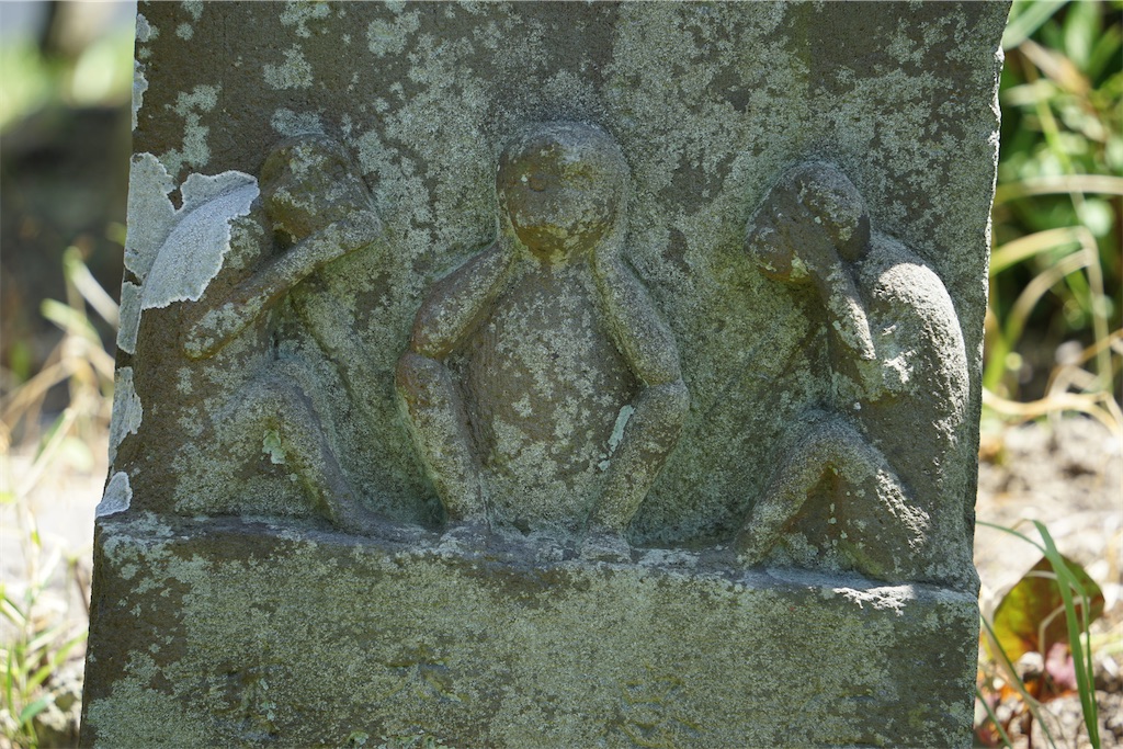 f:id:nagatorowo2:20240520095154j:image