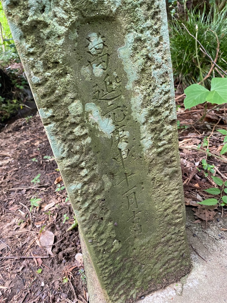 f:id:nagatorowo2:20240628091030j:image