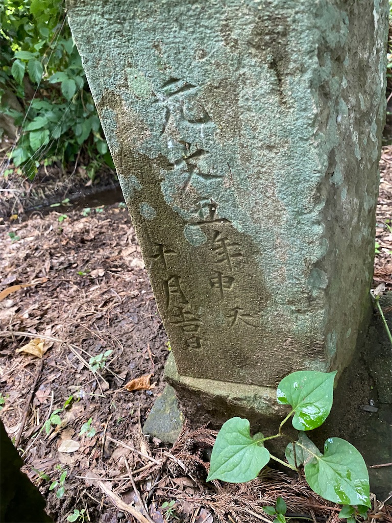 f:id:nagatorowo2:20240628091033j:image