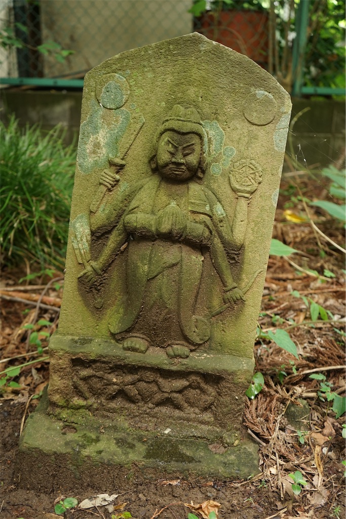 f:id:nagatorowo2:20240628091043j:image