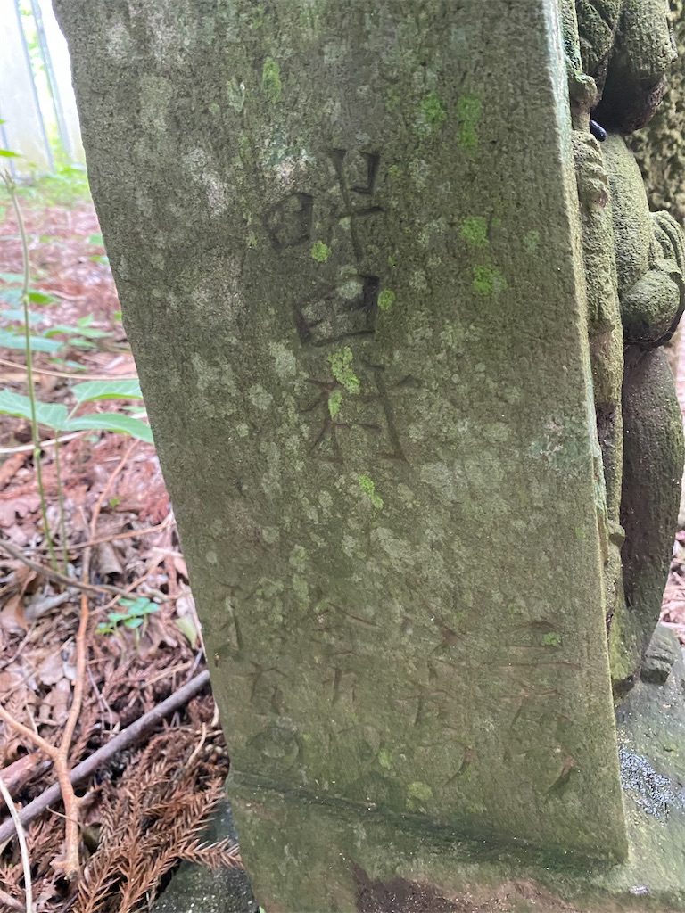 f:id:nagatorowo2:20240628091046j:image