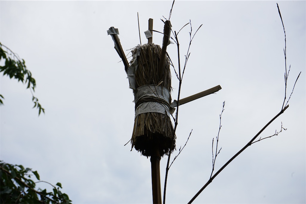 f:id:nagatorowo2:20240703120413j:image