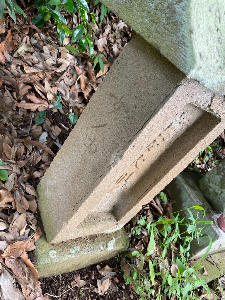 f:id:nagatorowo2:20240703120419j:image f:id:nagatorowo2:20240703120419j:image