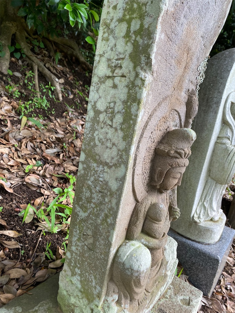 f:id:nagatorowo2:20240703120422j:image f:id:nagatorowo2:20240703120422j:image