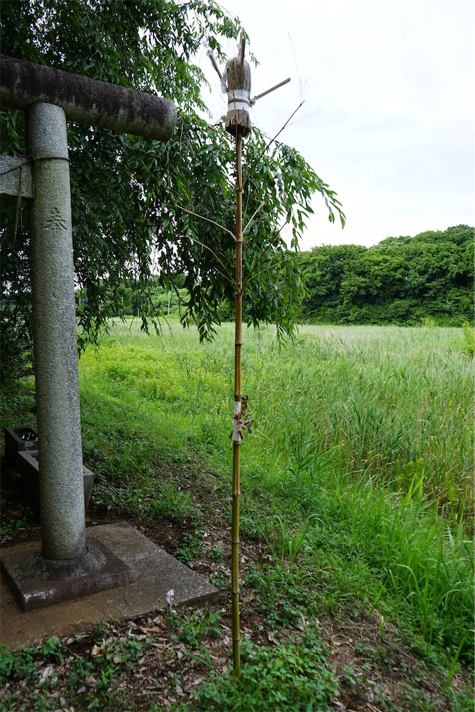 f:id:nagatorowo2:20240703120429j:image