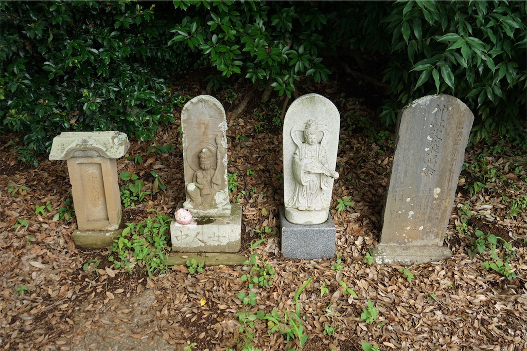 f:id:nagatorowo2:20240703120435j:image