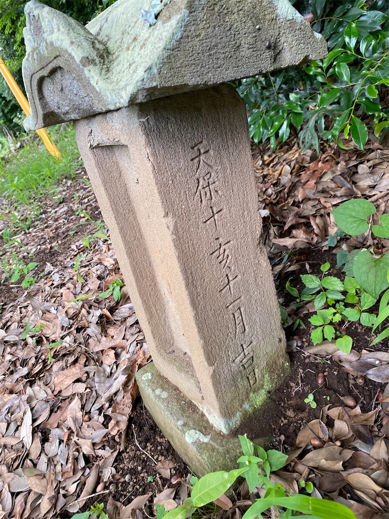 f:id:nagatorowo2:20240703120438j:image f:id:nagatorowo2:20240703120438j:image