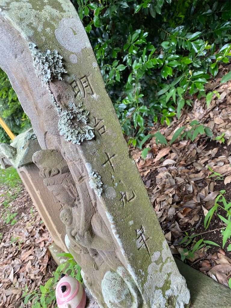 f:id:nagatorowo2:20240703120444j:image f:id:nagatorowo2:20240703120444j:image