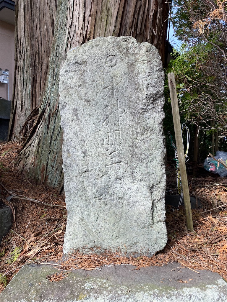 f:id:nagatorowo2:20240726123922j:image