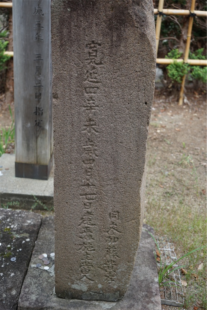 f:id:nagatorowo2:20240802143550j:image