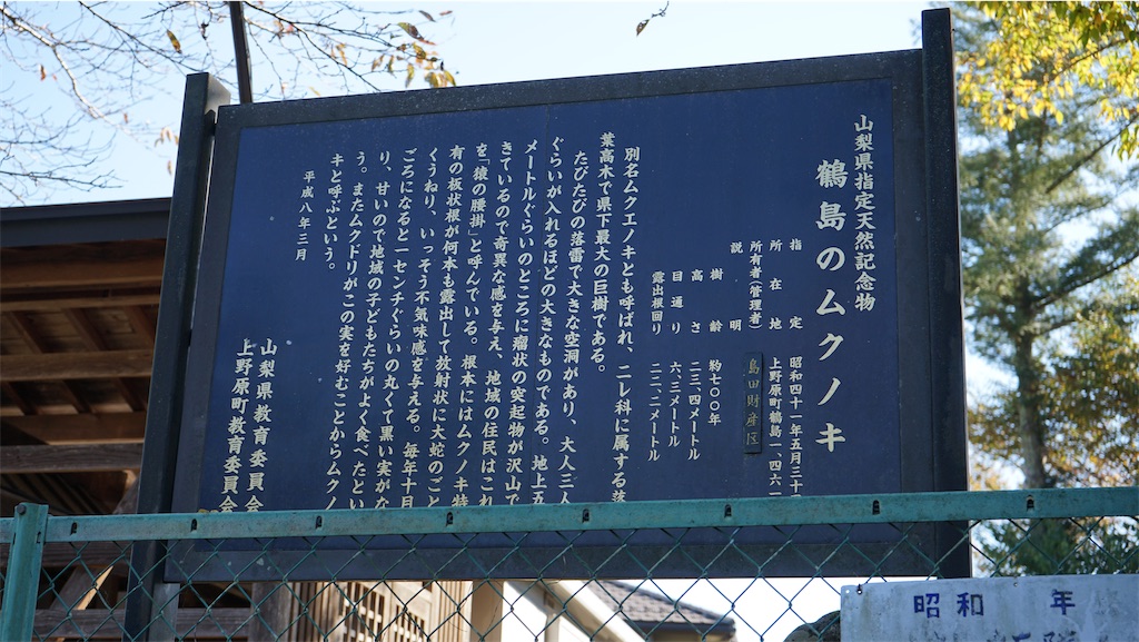 f:id:nagatorowo2:20240806230438j:image f:id:nagatorowo2:20240806230438j:image