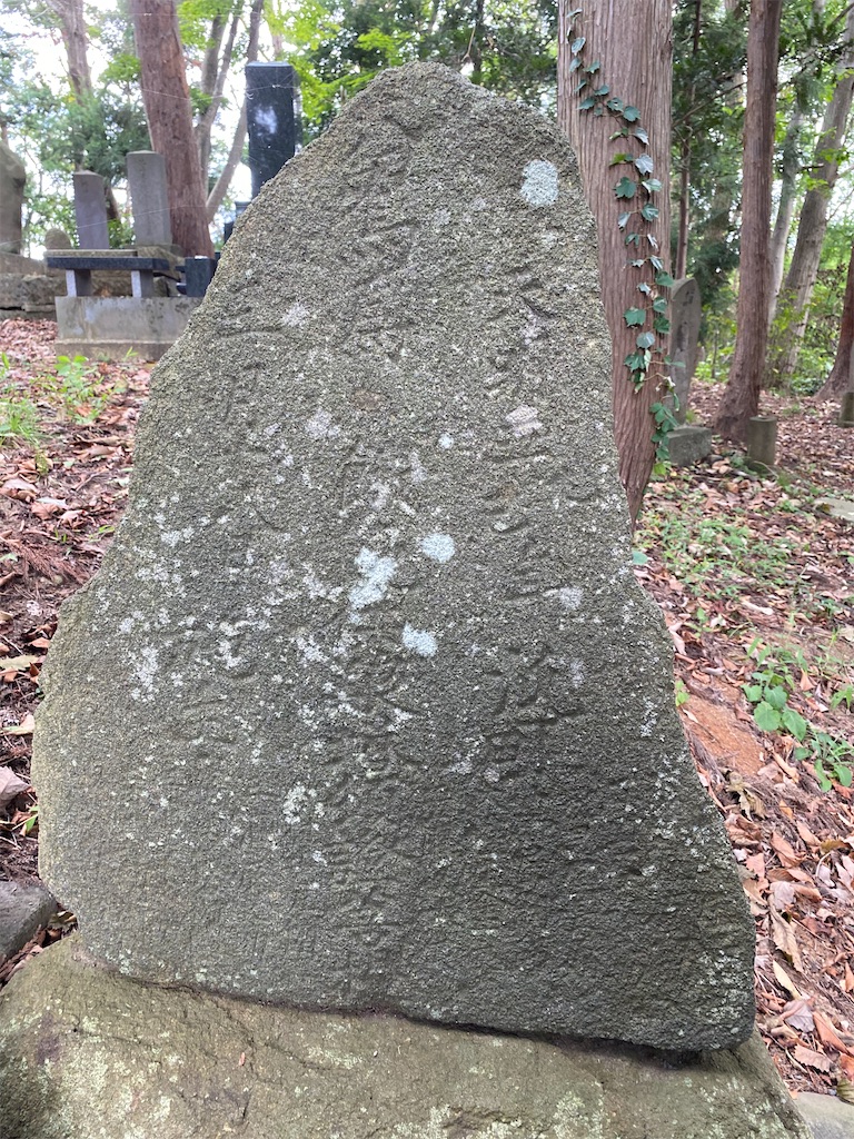 f:id:nagatorowo2:20240807205605j:image