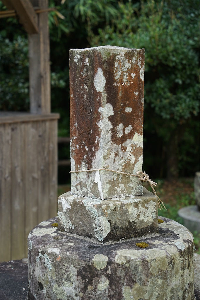 f:id:nagatorowo2:20240819232829j:image