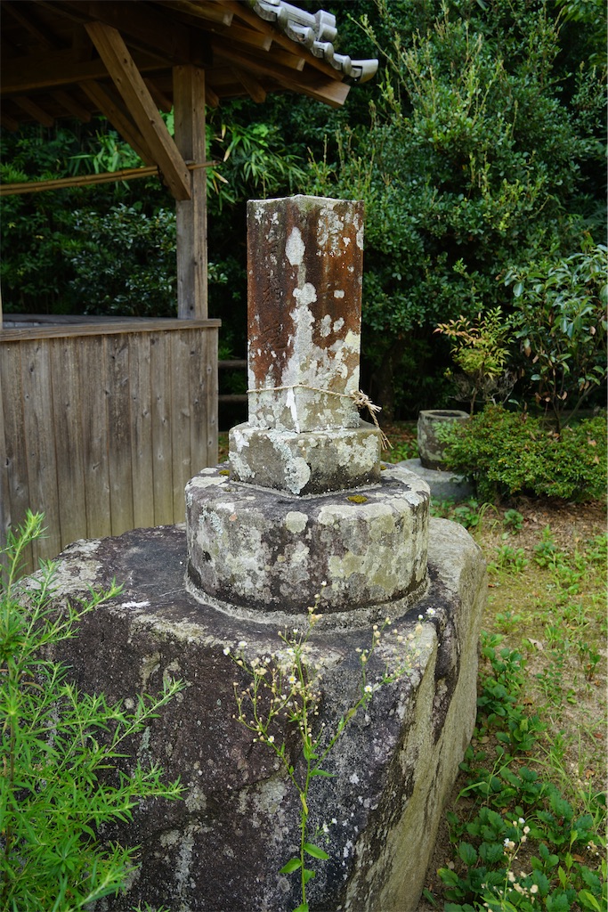 f:id:nagatorowo2:20240819232834j:image