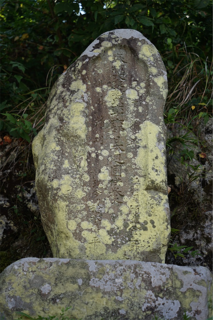 f:id:nagatorowo2:20240820140225j:image