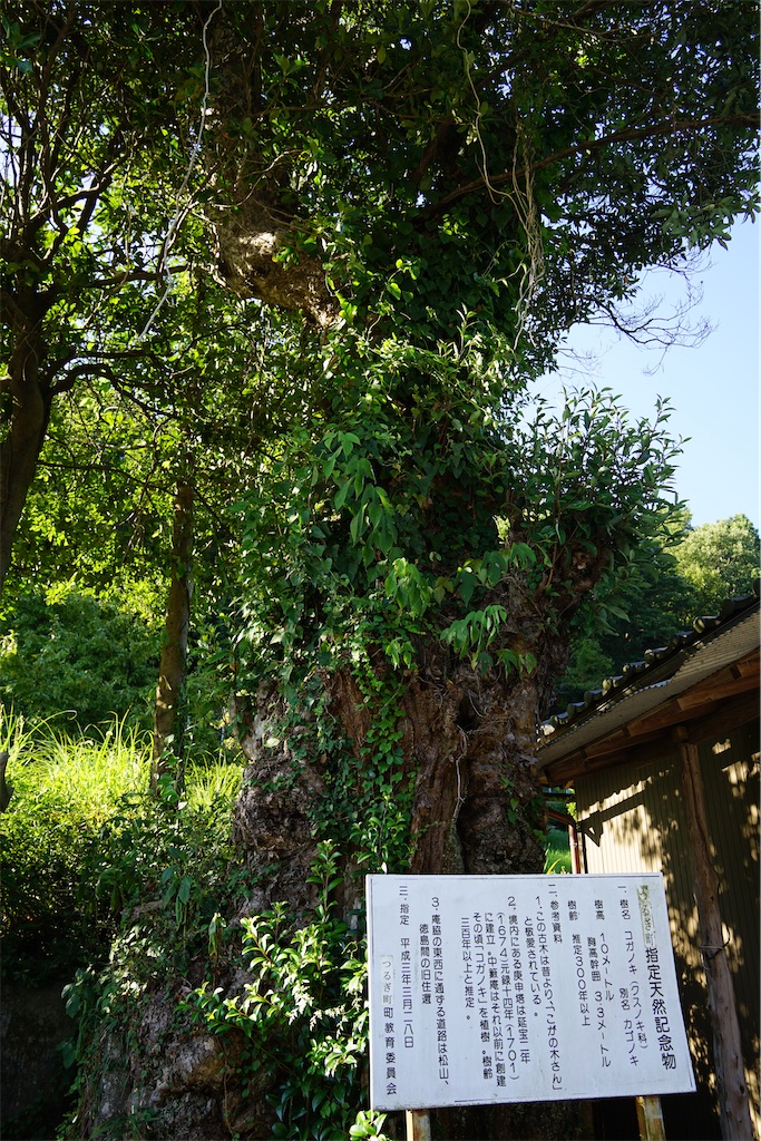 f:id:nagatorowo2:20240824211027j:image