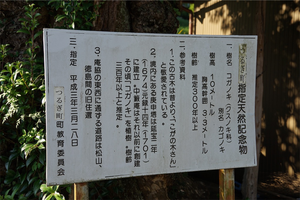 f:id:nagatorowo2:20240824211037j:image f:id:nagatorowo2:20240824211037j:image