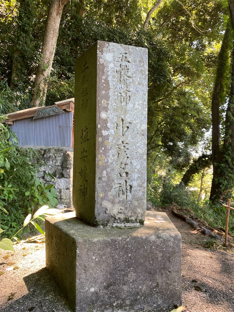 f:id:nagatorowo2:20240825200935j:image