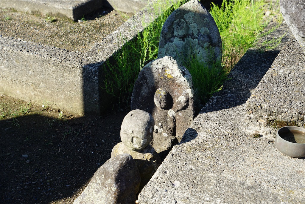 f:id:nagatorowo2:20240914143833j:image