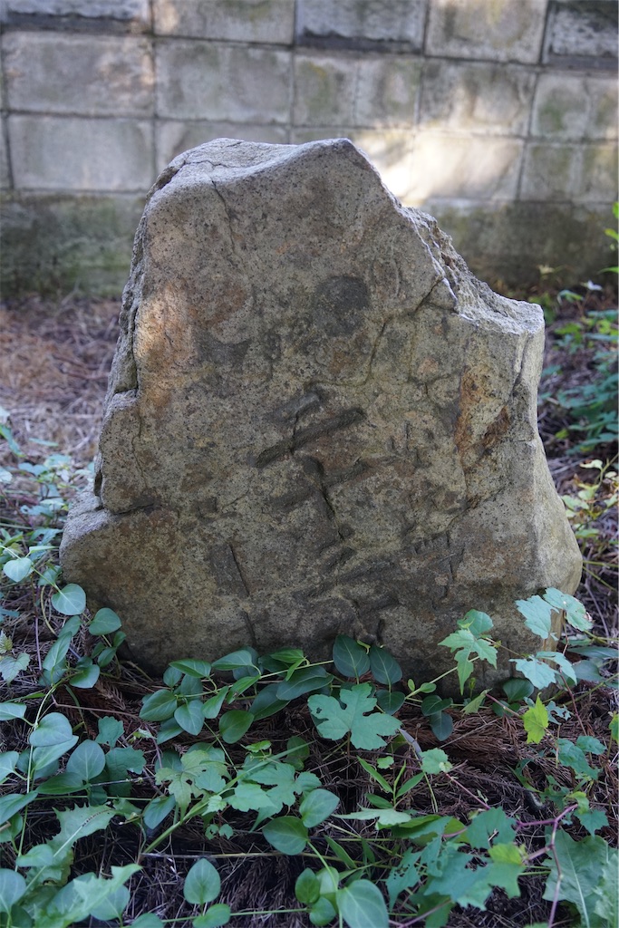 f:id:nagatorowo2:20240914175248j:image