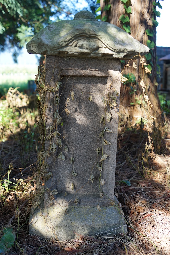 f:id:nagatorowo2:20240914175305j:image