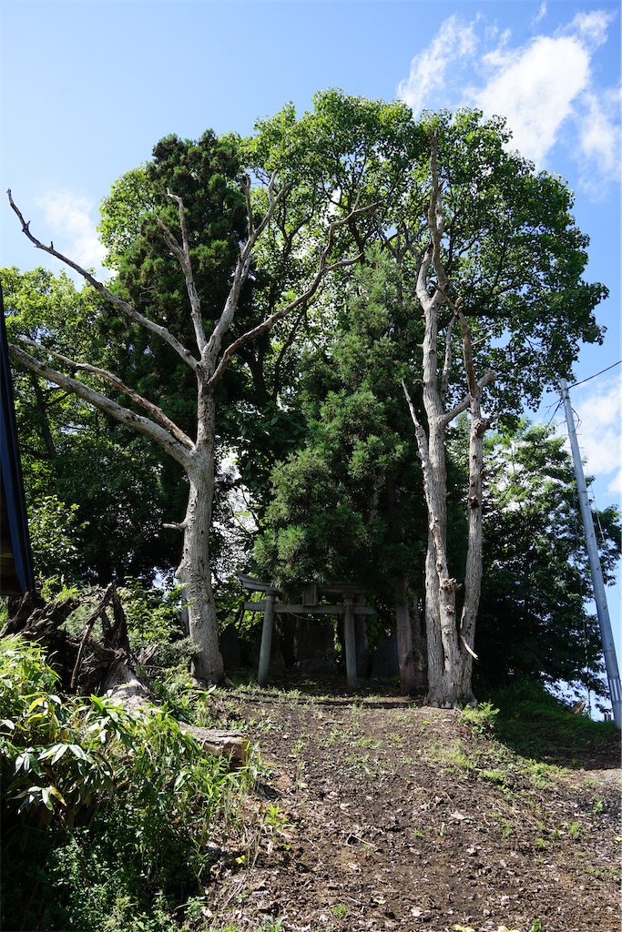 f:id:nagatorowo2:20240916094551j:image