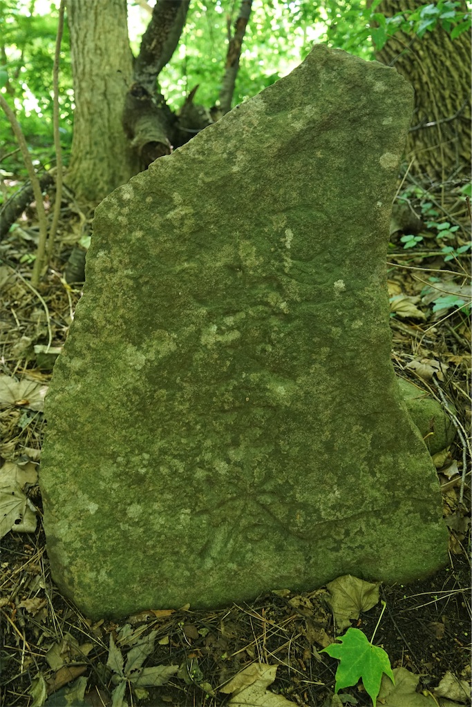 f:id:nagatorowo2:20240919115240j:image