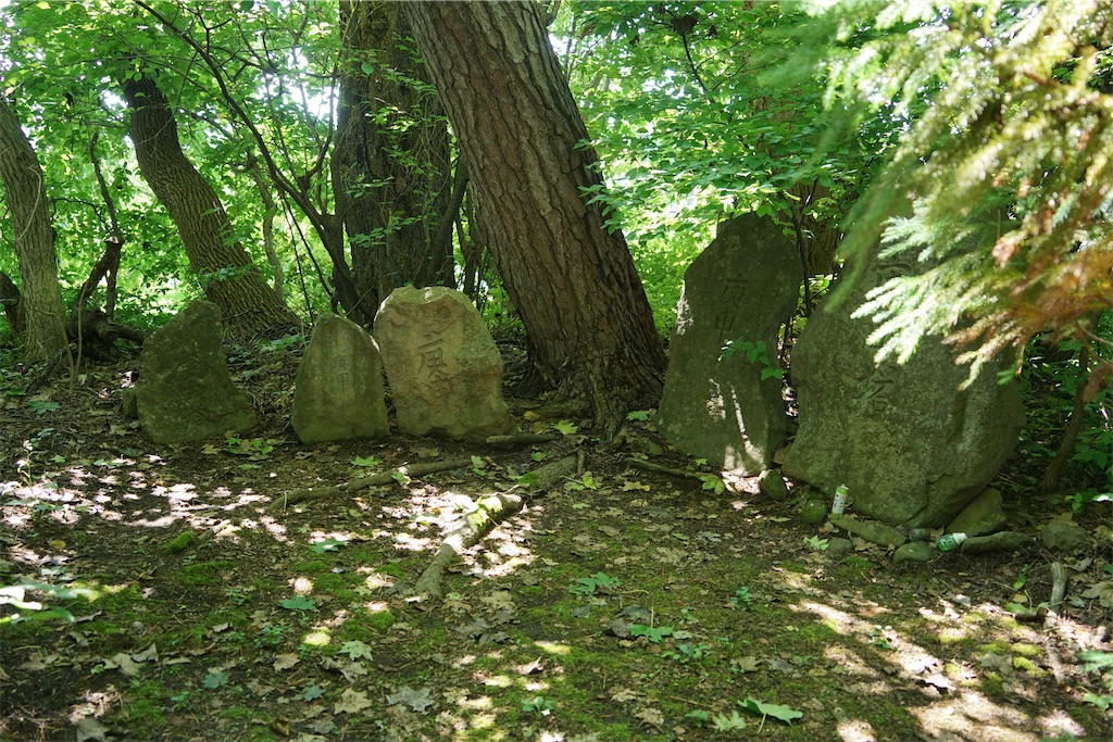 f:id:nagatorowo2:20240919115244j:image