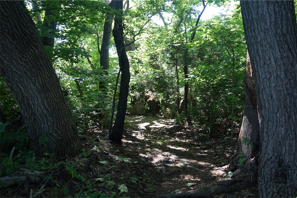 f:id:nagatorowo2:20240919115248j:image