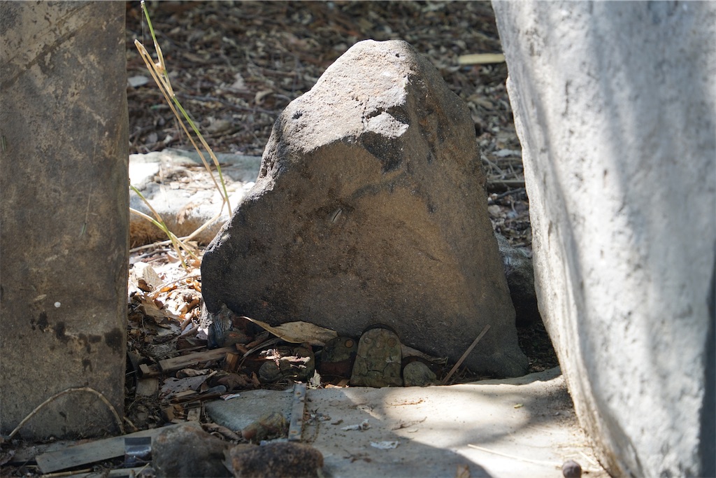 f:id:nagatorowo2:20240919195021j:image