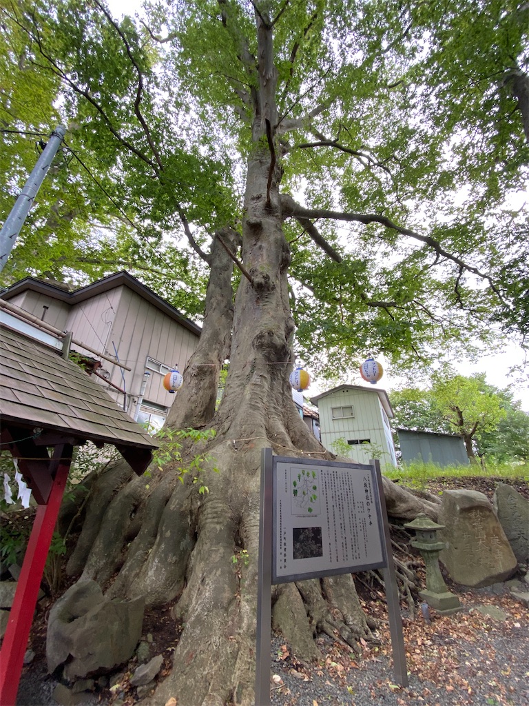 f:id:nagatorowo2:20241015115500j:image