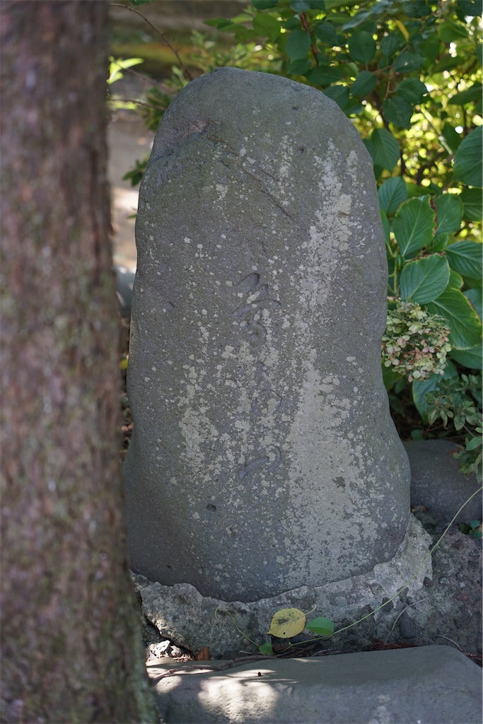 f:id:nagatorowo2:20241017112354j:image