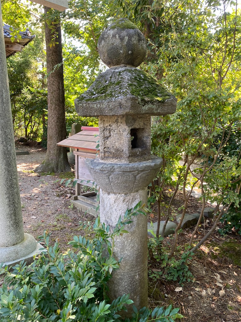 f:id:nagatorowo2:20241017112357j:image