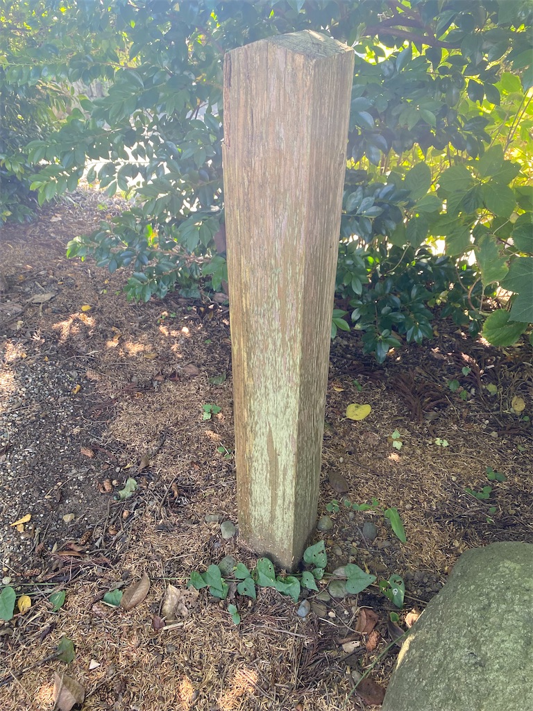 f:id:nagatorowo2:20241017114251j:image