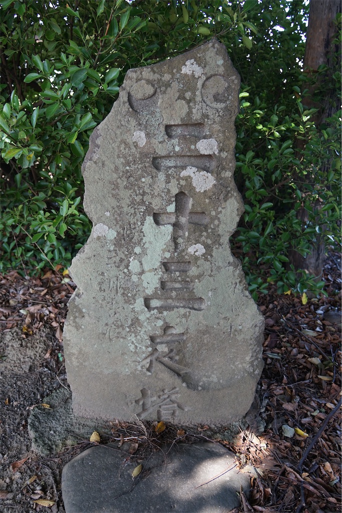 f:id:nagatorowo2:20241017140007j:image