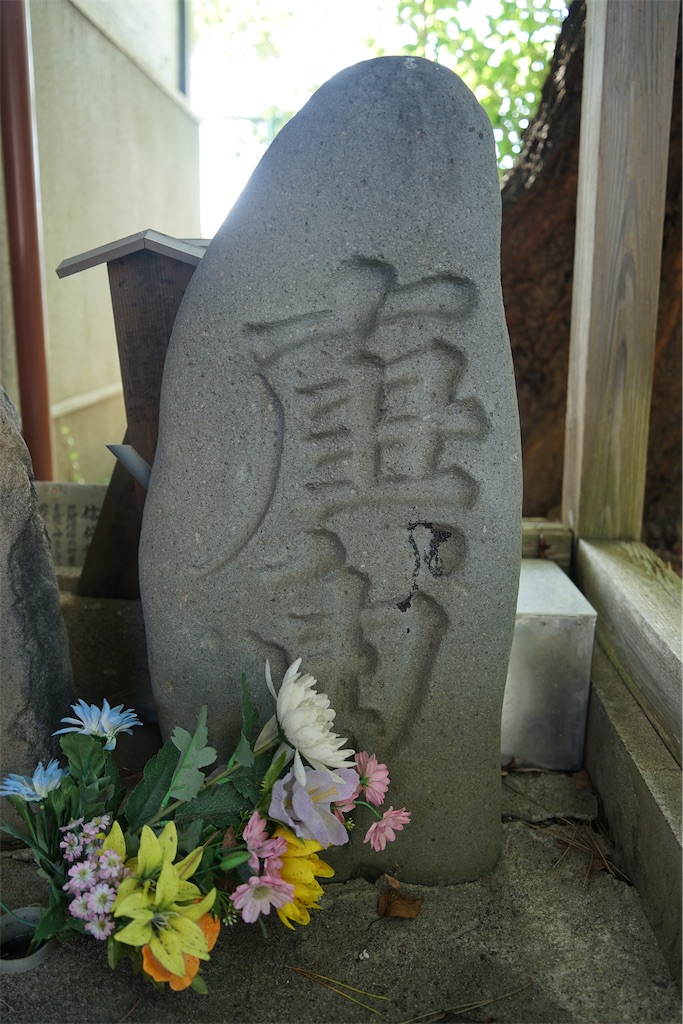 f:id:nagatorowo2:20241017190447j:image