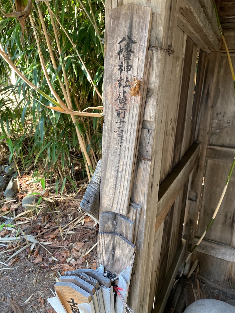 f:id:nagatorowo2:20241021142535j:image