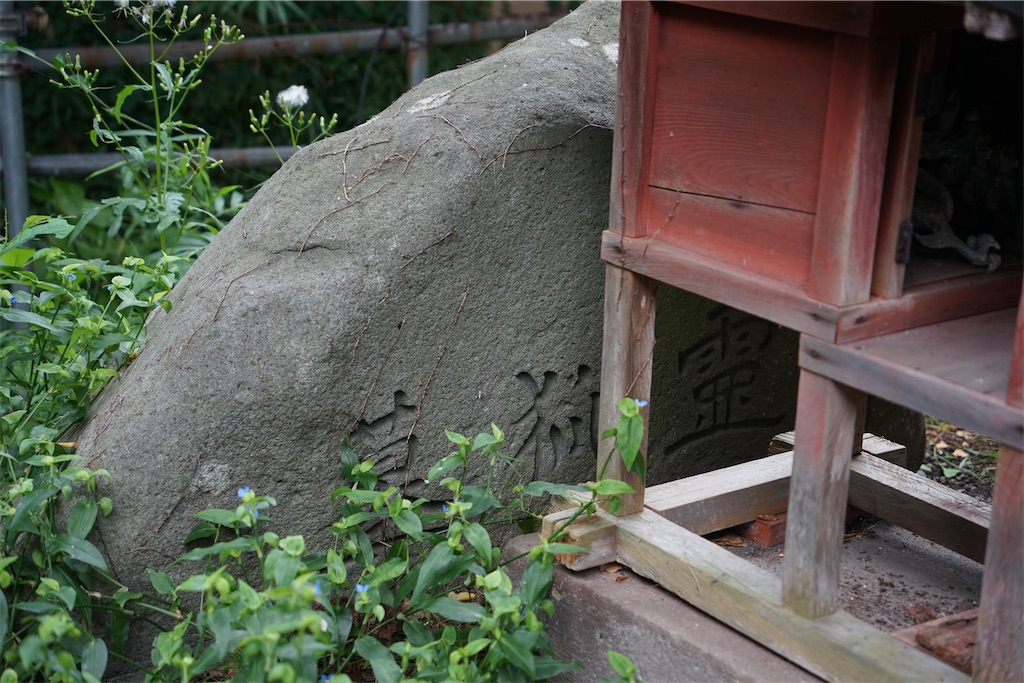 f:id:nagatorowo2:20241024223214j:image