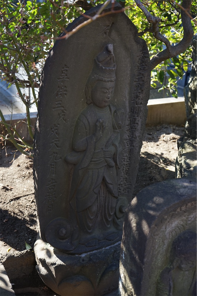 f:id:nagatorowo2:20241108183224j:image