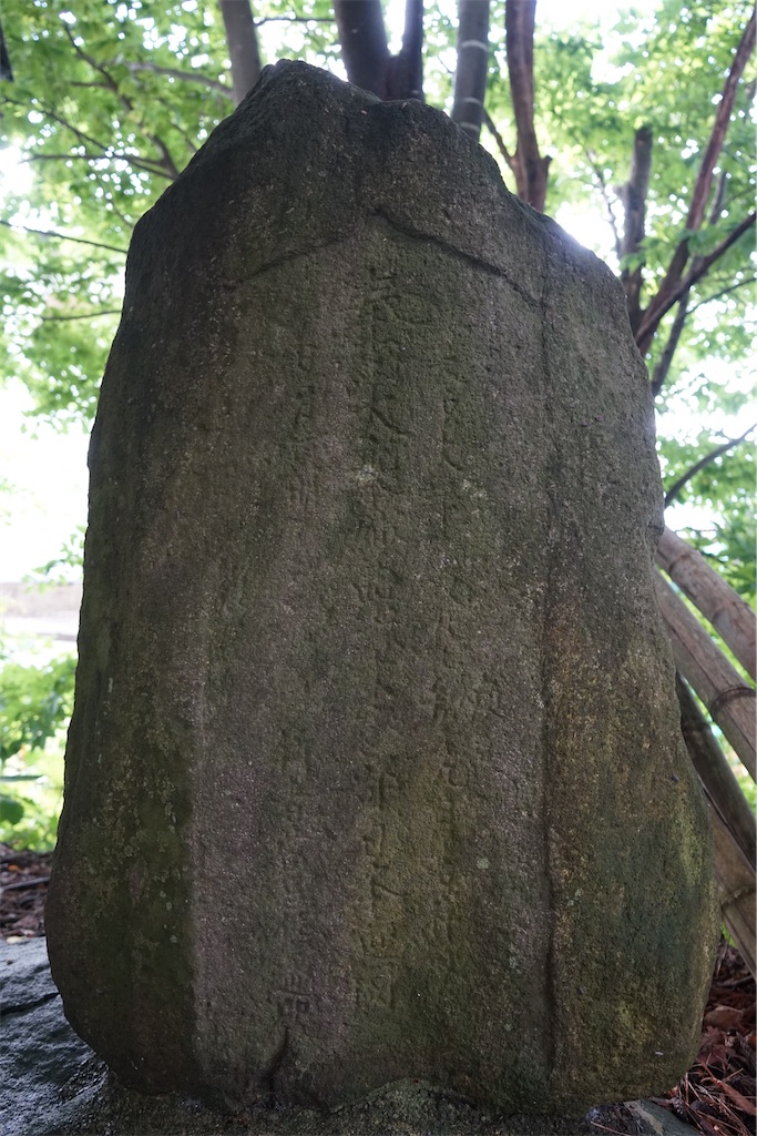 f:id:nagatorowo2:20241111211116j:image