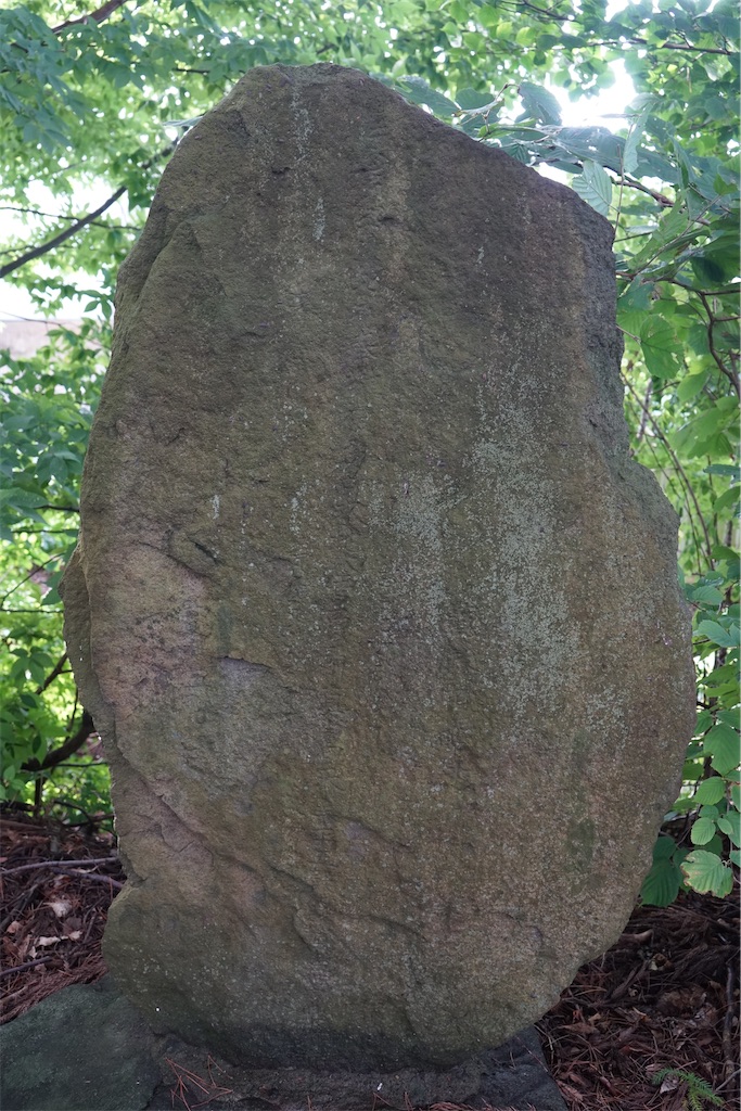 f:id:nagatorowo2:20241111211126j:image